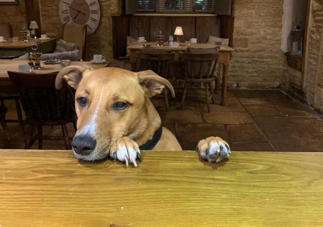 The Horse & Groom Stow-on-the-Wold Bagian luar foto